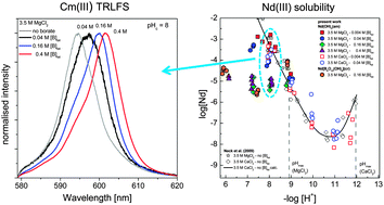 Graphical abstract: Interaction of Nd(iii) and Cm(iii) with borate in dilute to concentrated alkaline NaCl, MgCl2 and CaCl2 solutions: solubility and TRLFS studies