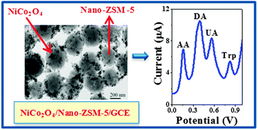 Graphical abstract: Synthesis of NiCo2O4/Nano-ZSM-5 nanocomposite material with enhanced electrochemical properties for the simultaneous determination of ascorbic acid, dopamine, uric acid and tryptophan