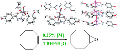 Graphical abstract: Dioxomolybdenum(vi) and dioxotungsten(vi) complexes chelated with the ONO tridentate hydrazone ligand: synthesis, structure and catalytic epoxidation activity