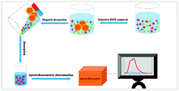 Graphical abstract: Solid phase extraction of doxorubicin using molecularly imprinted polymer coated magnetite nanospheres prior to its spectrofluorometric determination
