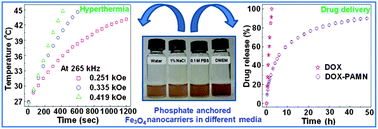Graphical abstract: Biocompatible phosphate anchored Fe3O4 nanocarriers for drug delivery and hyperthermia