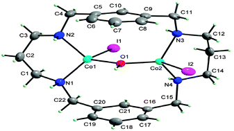 Graphical abstract: Synthesis, characterization and crystal structures of mono and dinuclear macrocyclic cobalt(ii) complexes with a new tetraaza m-xylyl-based macrocyclic ligand