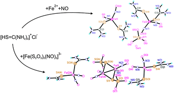 Graphical abstract: Nitrosyl iron complexes with enhanced NO donating ability: synthesis, structure and properties of a new type of salt with the DNIC cations [Fe(SC(NH2)2)2(NO)2]+