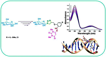 Graphical abstract: Design and synthesis of sugar-triazole based uracil appended sugar-imine derivatives – an application in DNA binding studies