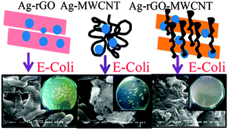 Graphical abstract: One-step synthesis of Ag–reduced graphene oxide–multiwalled carbon nanotubes for enhanced antibacterial activities