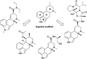 Graphical abstract: Biosynthesis of the ergot alkaloids