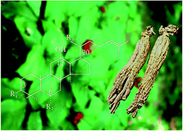 Graphical abstract: Recent advances in ginseng as cancer therapeutics: a functional and mechanistic overview