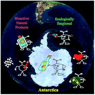 Graphical abstract: Natural products mediating ecological interactions in Antarctic benthic communities: a mini-review of the known molecules