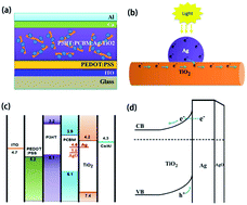 Graphical abstract: Efficient hybrid plasmonic polymer solar cells with Ag nanoparticle decorated TiO2 nanorods embedded in the active layer