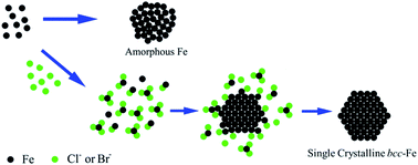 Graphical abstract: Halide ion-mediated growth of single crystalline Fe nanoparticles