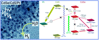 Graphical abstract: Double heterojunction nanowire photocatalysts for hydrogen generation