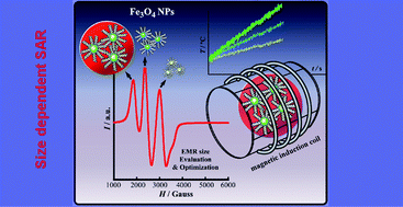Graphical abstract: Fe3O4 nanoparticles prepared by the seeded-growth route for hyperthermia: electron magnetic resonance as a key tool to evaluate size distribution in magnetic nanoparticles