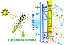 Graphical abstract: A nanotree-like CdS/ZnO nanocomposite with spatially branched hierarchical structure for photocatalytic fine-chemical synthesis