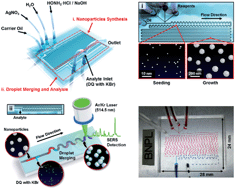 Graphical abstract: Real-time analysis of diaquat dibromide monohydrate in water with a SERS-based integrated microdroplet sensor