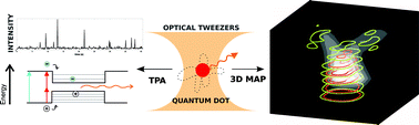 Graphical abstract: Sub-diffraction positioning of a two-photon excited and optically trapped quantum dot