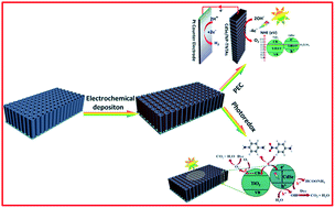Graphical abstract: Electrochemical construction of hierarchically ordered CdSe-sensitized TiO2 nanotube arrays: towards versatile photoelectrochemical water splitting and photoredox applications