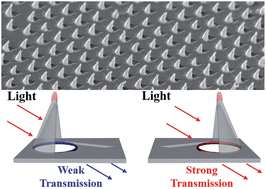 Graphical abstract: Asymmetric half-cone/nanohole array films with structural and directional reshaping of extraordinary optical transmission