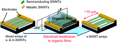 Graphical abstract: Selective removal of metallic single-walled carbon nanotubes in full length by organic film-assisted electrical breakdown
