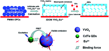 Graphical abstract: Efficient energy transfer from inserted CdTe quantum dots to YVO4:Eu3+ inverse opals: a novel strategy to improve and expand visible excitation of rare earth ions