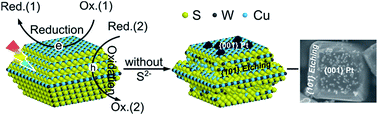 Graphical abstract: Charge separation in facet-engineered chalcogenide photocatalyst: a selective photocorrosion approach