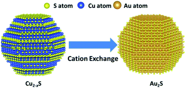 Graphical abstract: Controllable conversion of plasmonic Cu2−xS nanoparticles to Au2S by cation exchange and electron beam induced transformation of Cu2−xS–Au2S core/shell nanostructures