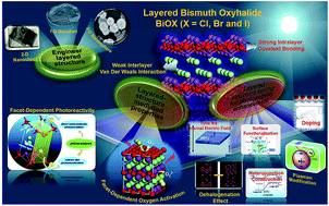 Graphical abstract: Bismuth oxyhalide nanomaterials: layered structures meet photocatalysis