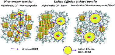 Graphical abstract: Study of exciton transfer in dense quantum dot nanocomposites