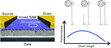 Graphical abstract: Tuning the molecular order of C60-based self-assembled monolayers in field-effect transistors