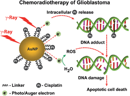 Graphical abstract: Cisplatin-tethered gold nanospheres for multimodal chemo-radiotherapy of glioblastoma