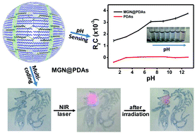 Graphical abstract: Magnetic-graphitic-nanocapsule templated diacetylene assembly and photopolymerization for sensing and multicoded anti-counterfeiting