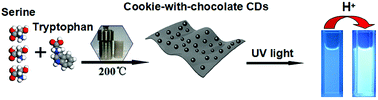 Graphical abstract: Novel cookie-with-chocolate carbon dots displaying extremely acidophilic high luminescence