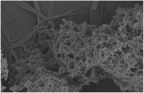 Graphical abstract: The effect of self-sorting and co-assembly on the mechanical properties of low molecular weight hydrogels