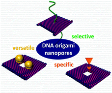 Graphical abstract: DNA origami nanopores: developments, challenges and perspectives