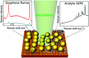 Graphical abstract: Plasmonic-enhanced Raman scattering of graphene on growth substrates and its application in SERS