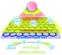 Graphical abstract: Constructing one-dimensional silver nanowire-doped reduced graphene oxide integrated with CdS nanowire network hybrid structures toward artificial photosynthesis