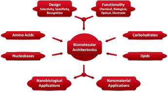 Graphical abstract: Nanoarchitectonics of biomolecular assemblies for functional applications