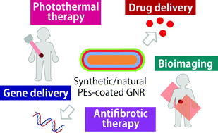 Graphical abstract: Polyelectrolyte-coated gold nanorods and their biomedical applications