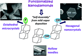 Graphical abstract: The functionalization of nanodiamonds (diamondoids) as a key parameter of their easily controlled self-assembly in micro- and nanocrystals from the vapor phase