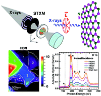 Graphical abstract: Layer speciation and electronic structure investigation of freestanding hexagonal boron nitride nanosheets