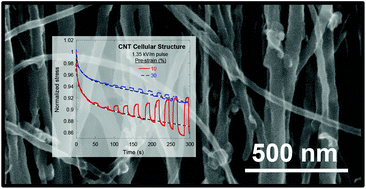 Graphical abstract: Tailoring viscoelastic response of carbon nanotubes cellular structure using electric field