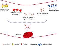 Graphical abstract: Engineered nanoparticles: thrombotic events in cancer