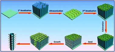 Graphical abstract: Spatially branched hierarchical ZnO nanorod-TiO2 nanotube array heterostructures for versatile photocatalytic and photoelectrocatalytic applications: towards intimate integration of 1D–1D hybrid nanostructures