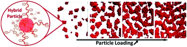 Graphical abstract: Inside the structure of a nanocomposite electrolyte membrane: how hybrid particles get along with the polymer matrix