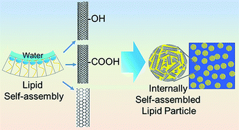 Graphical abstract: Carbon nanotubes for stabilization of nanostructured lipid particles