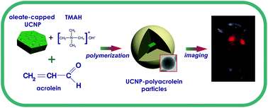 Graphical abstract: Submicron polyacrolein particles in situ embedded with upconversion nanoparticles for bioassay