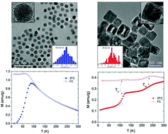 Graphical abstract: Origin of the large dispersion of magnetic properties in nanostructured oxides: FexO/Fe3O4 nanoparticles as a case study