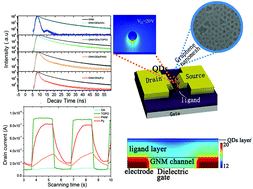 Graphical abstract: Graphene nanomesh photodetector with effective charge tunnelling from quantum dots