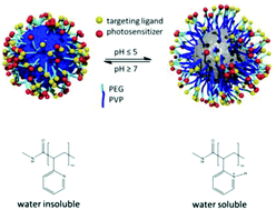 Graphical abstract: Multifunctional polymer-capped mesoporous silica nanoparticles for pH-responsive targeted drug delivery