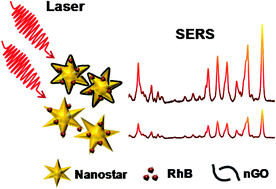 Graphical abstract: Nano graphene oxide-wrapped gold nanostars as ultrasensitive and stable SERS nanoprobes
