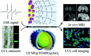 Graphical abstract: Core–shell hybrid upconversion nanoparticles carrying stable nitroxide radicals as potential multifunctional nanoprobes for upconversion luminescence and magnetic resonance dual-modality imaging